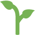 🌱 Setzling-Emoji-Bedeutung