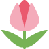 🌷 Tulpen-Emoji-Bedeutung