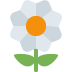 🌼 Blüte Emoji-Bedeutung